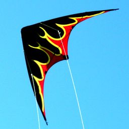 Dual Line Kites for Teenagers and Adults