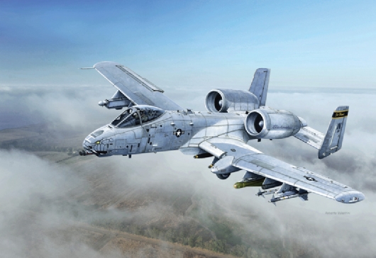A-10C ''Blacksnakes''