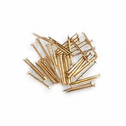 BRASS PLATED NAILS 10.0mm