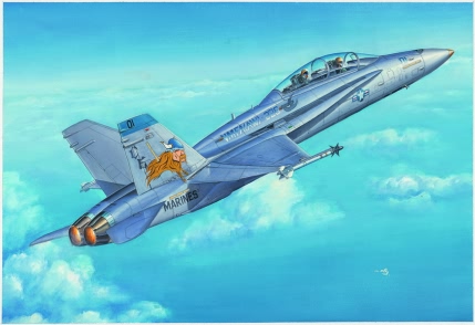 F/A 18D Hornet