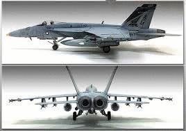 USN F/A-18E VF-143 "Pukin Dogs"