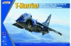 Kinetic T-Harrier T2/T4/T8