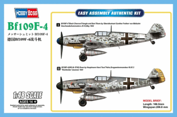 BF109 F4 From Hobby Boss