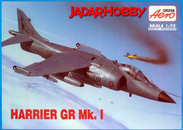 Sea Harrier FRS Mk.1