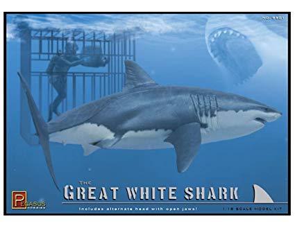 Great White Shark