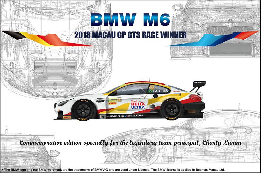 BMW M6 2018 MACAU GP GT3 RACE WINNER