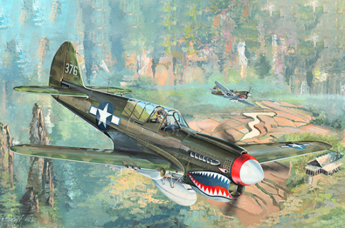 RAAF P-40N Warhawk *AUS DECAL*