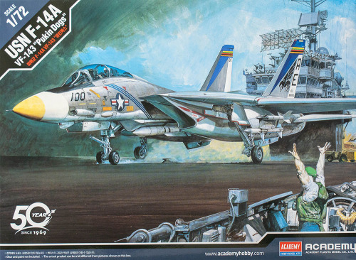 F-14A Tomcat 'VF-143 Pukin Dogs' 