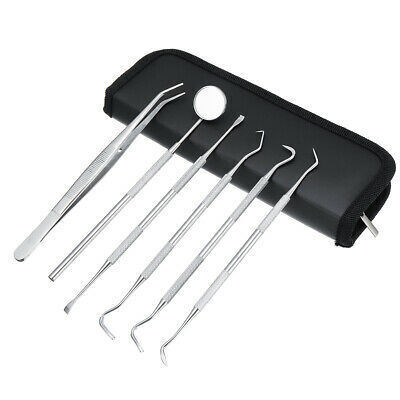Stainless Steel Dental Tools X 6