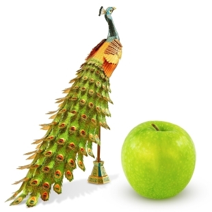 Premium Series Peacock 