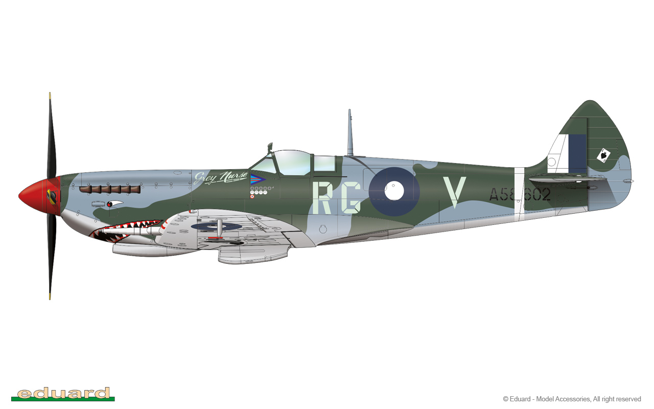 raaf spitfire colours