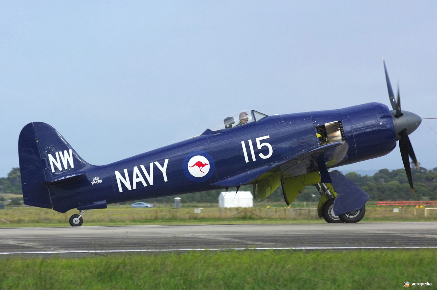 RAN Hawker Sea Fury FB.11 Model