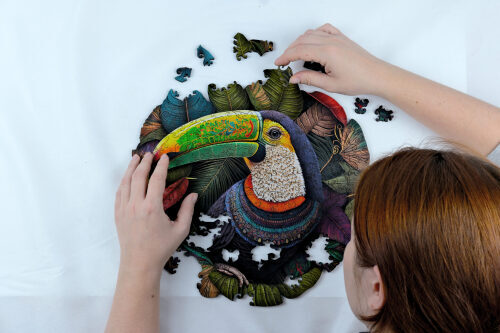 Toucan Jigsaw Puzzle