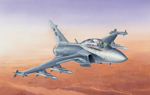 JAS 39 GRIPEN TWIN SEATER