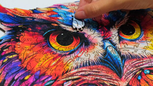 Owl Jigsaw Puzzle